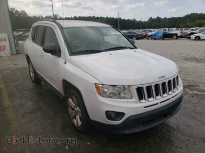 2011 Jeep COMPASS Compass SP, белый — VIN 1J4NT1FA2BD170899, Copart