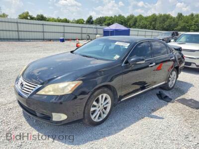 2010 Lexus ES350 350, черный — VIN JTHBK1EG5A2407315, Copart