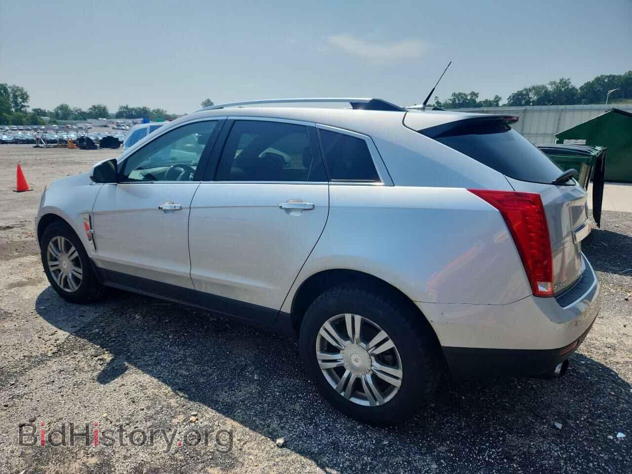 2011 CADILLAC SRX - VIN: 3GYFNDEY2BS556480 - Фото 2