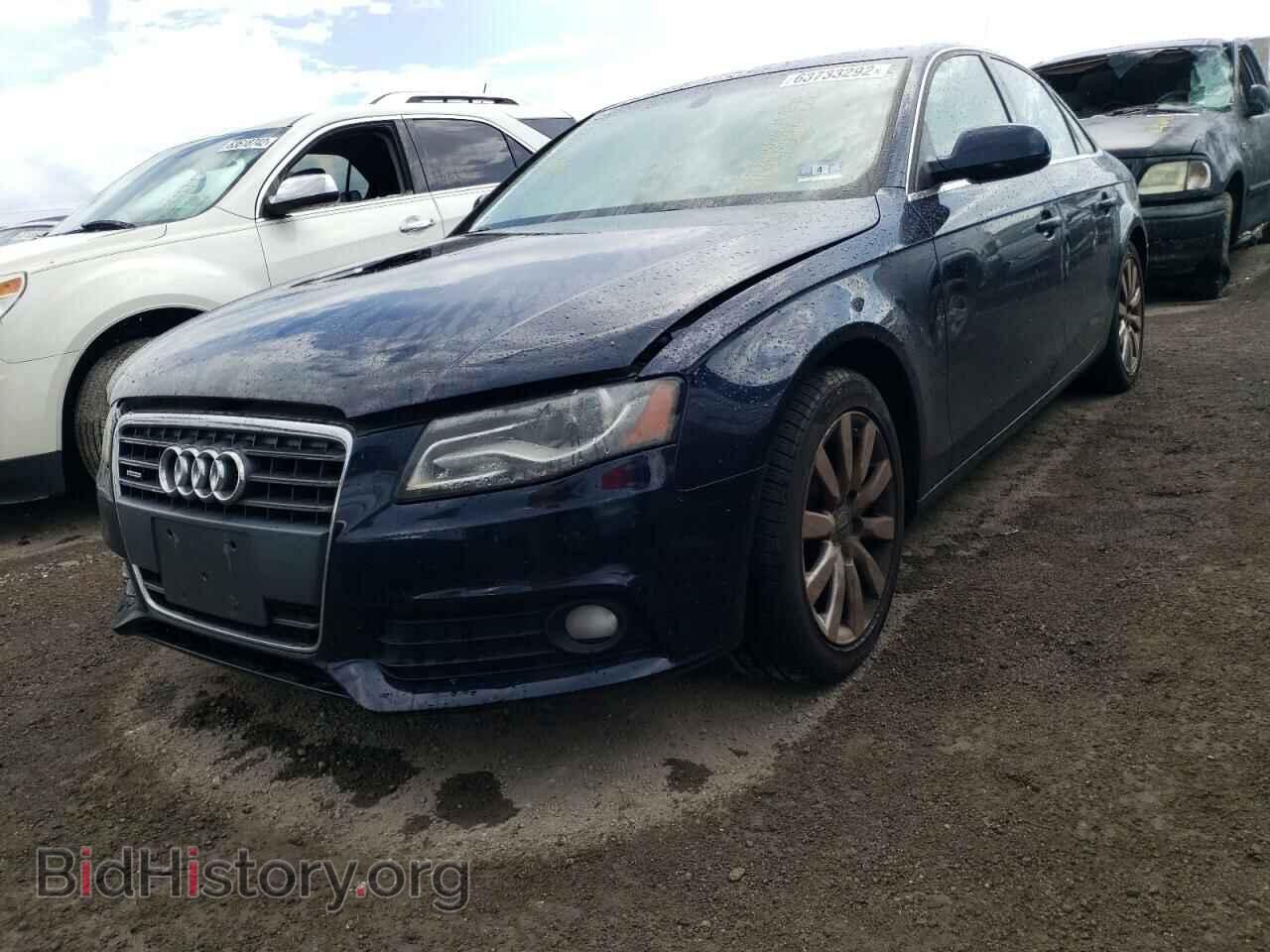 2010 AUDI A4 - VIN: WAUFFAFL3AN016954 - Фото 2