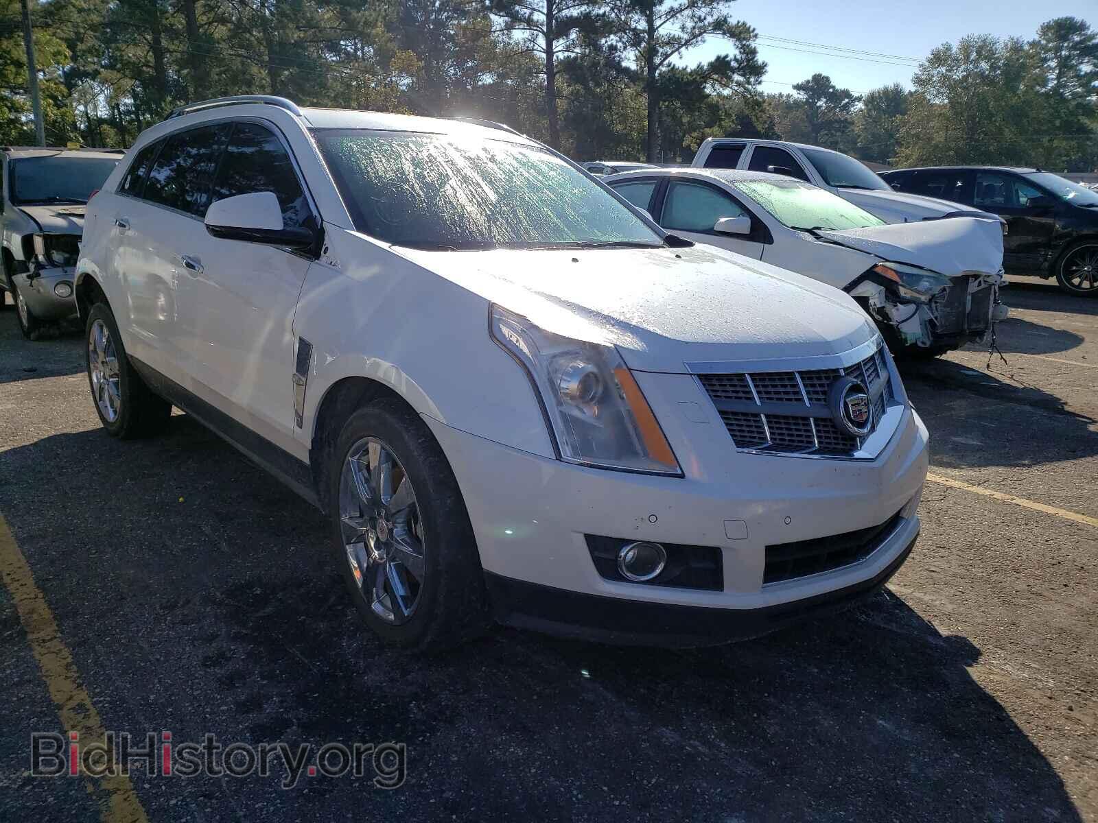 Фотография 3GYFNCEY7AS600563 - CADILLAC SRX 2010