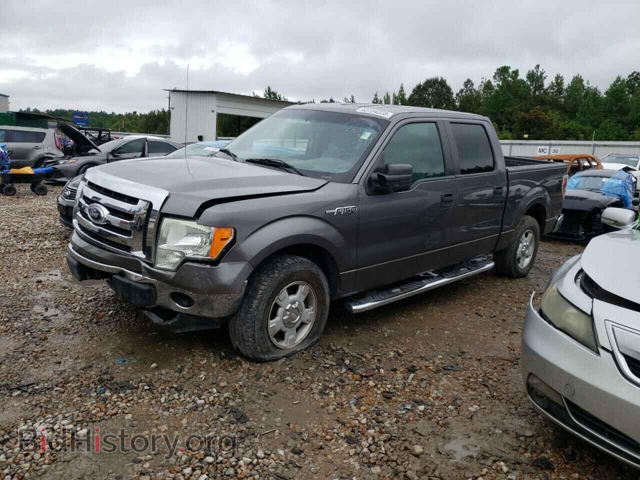 Фотография 1FTEW1CM8CKD37016 - FORD F-150 2012