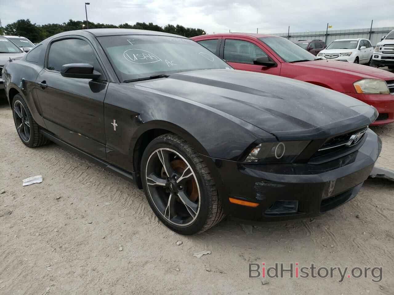 Photo 1ZVBP8AM8C5233116 - FORD MUSTANG 2012