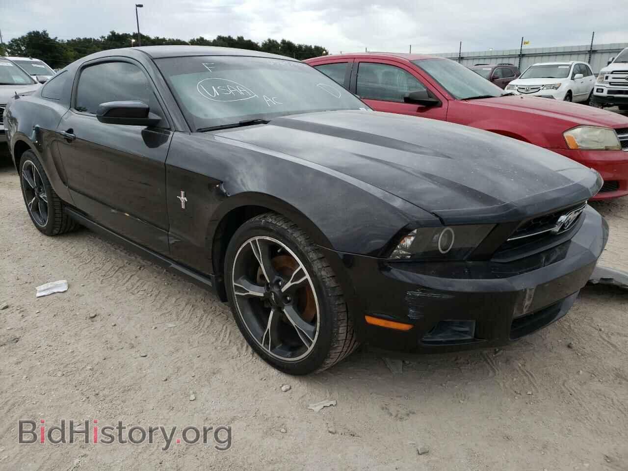 Photo 1ZVBP8AM8C5233116 - FORD MUSTANG 2012