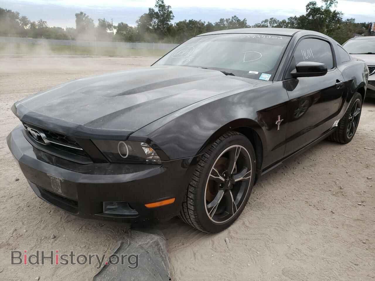 2012 FORD MUSTANG - VIN: 1ZVBP8AM8C5233116 - Фото 2
