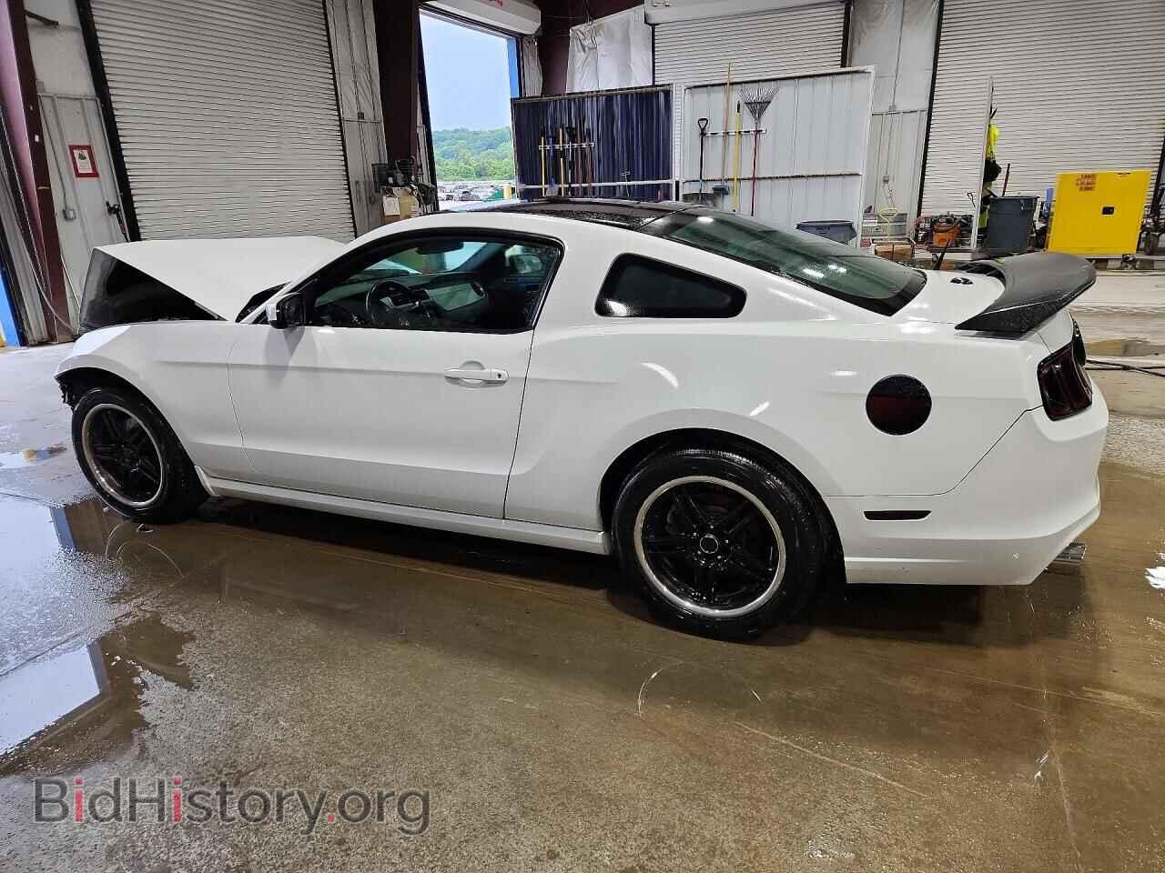 2014 FORD MUSTANG - VIN: 1ZVBP8AM8E5310893 - Photo 2