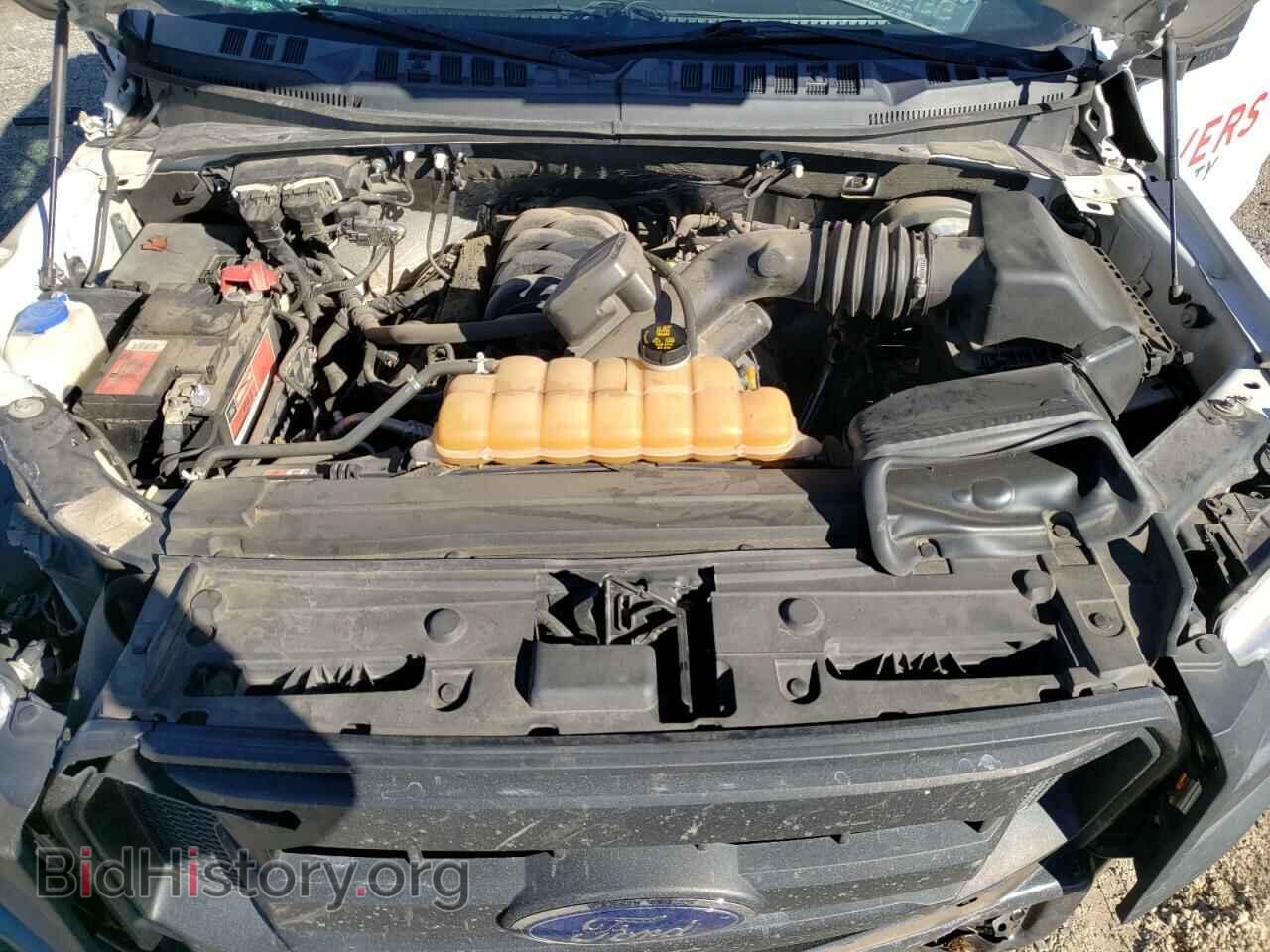 2016 FORD F150 - VIN: 1FTMF1CF7GKD59656 - Фото 7