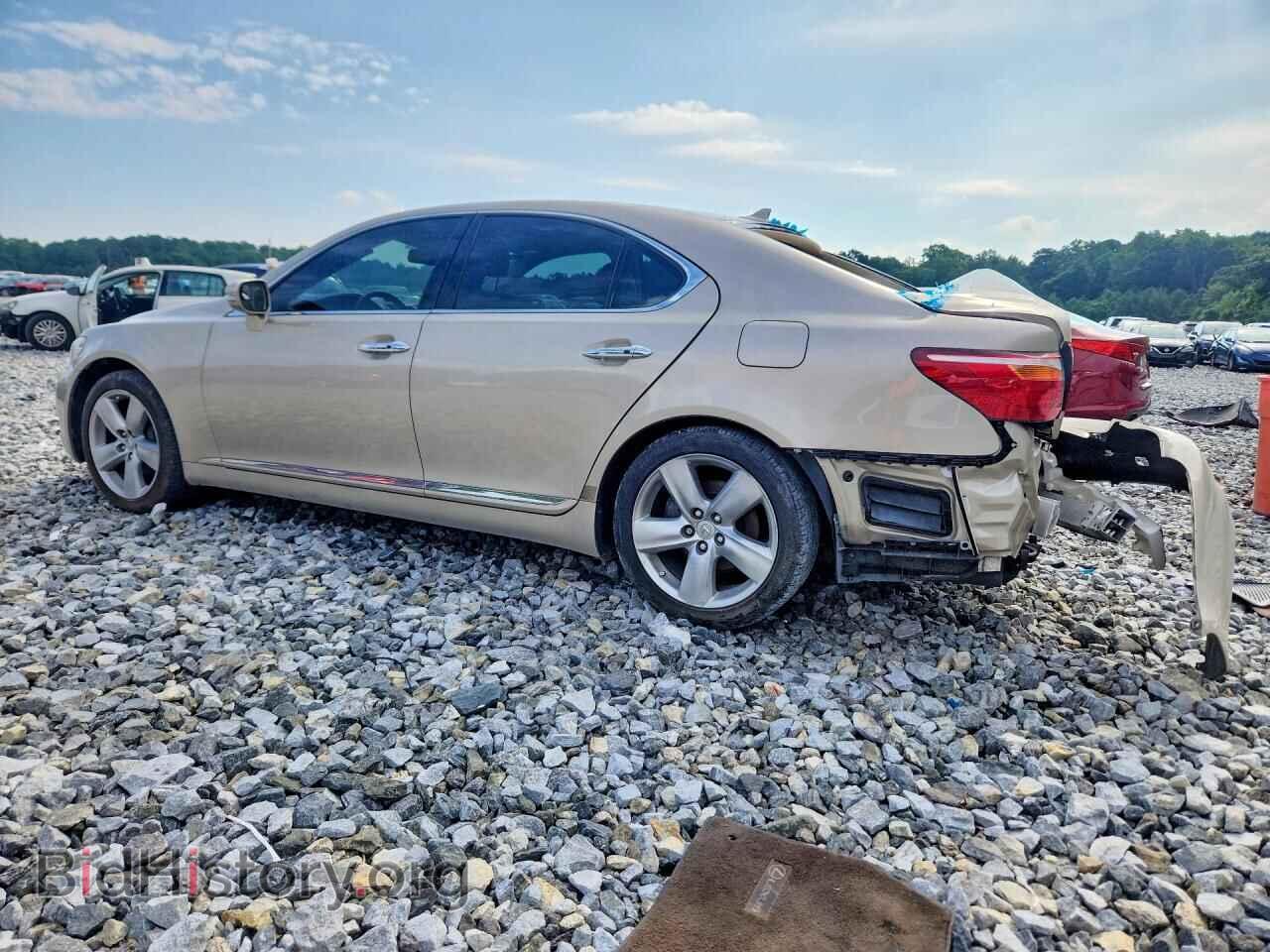 2011 LEXUS LS460 - VIN: JTHBL5EF6B5106130 - Photo 2