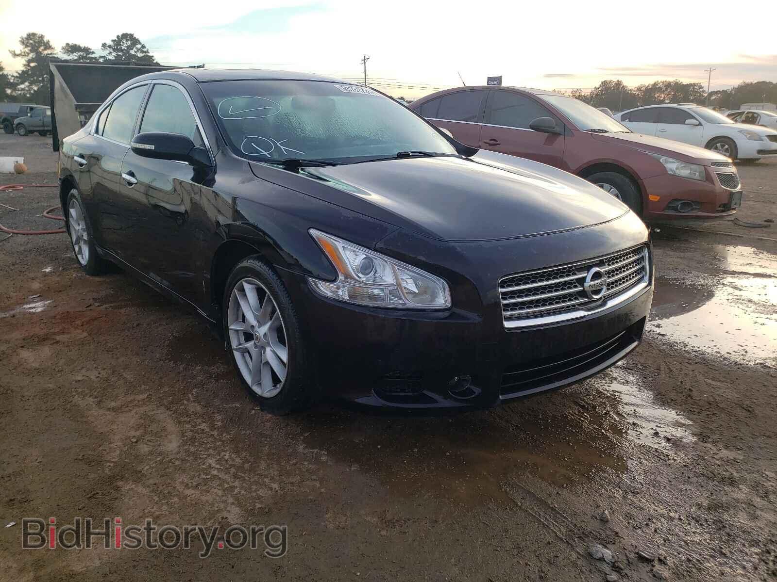 Фотография 1N4AA5AP4BC809146 - NISSAN MAXIMA 2011