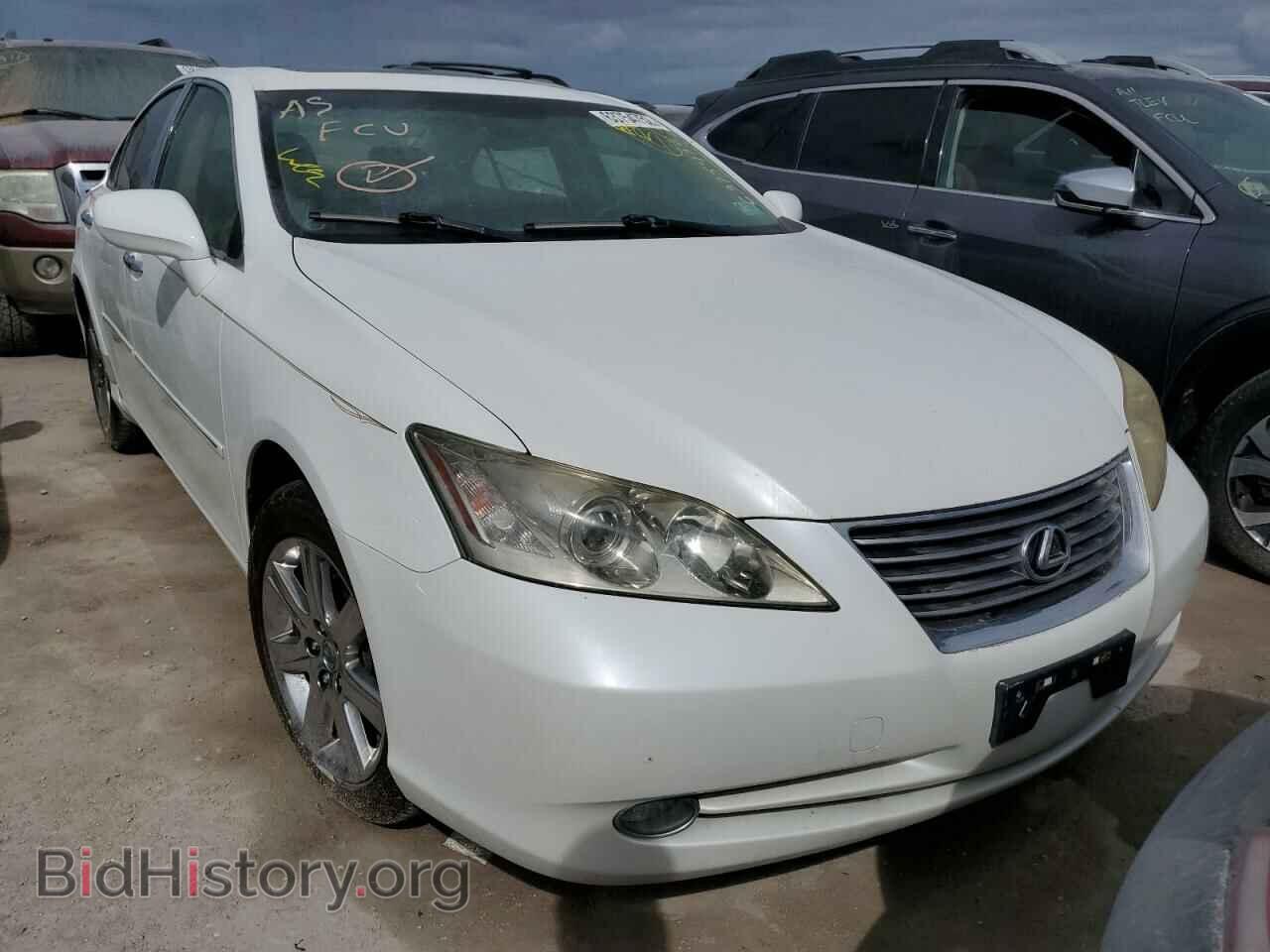 Фотография JTHBJ46G482262202 - LEXUS ES350 2008