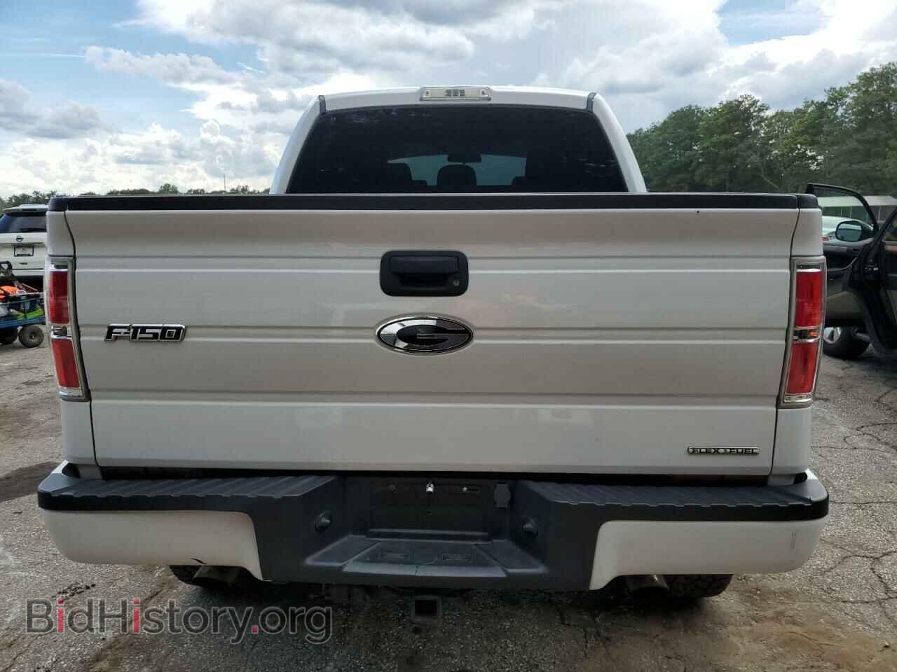 2014 FORD F-150 - VIN: 1FTFW1EF6EFD03445 - Фото 6