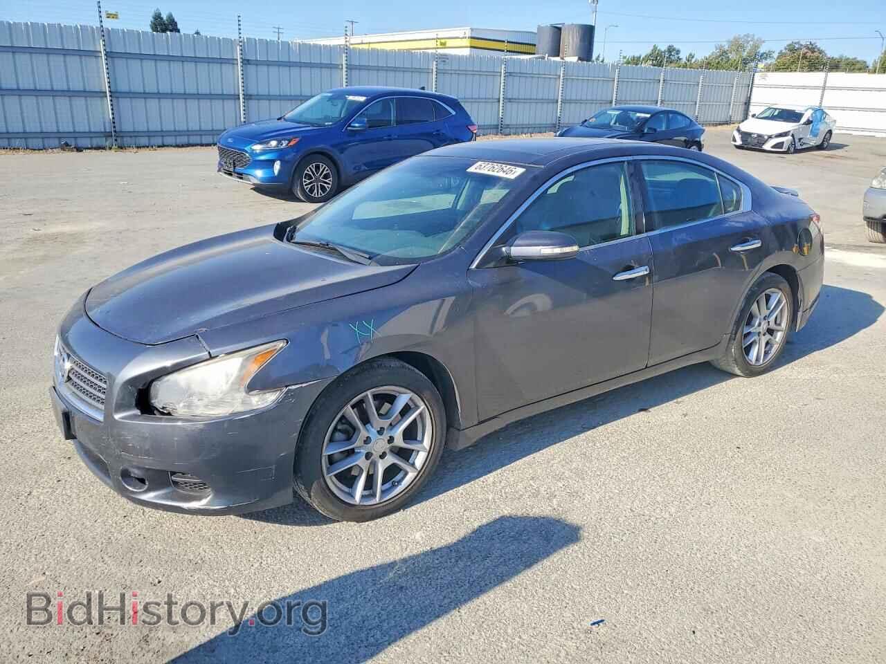 Photo 1N4AA5AP7AC825274 - NISSAN MAXIMA 2010