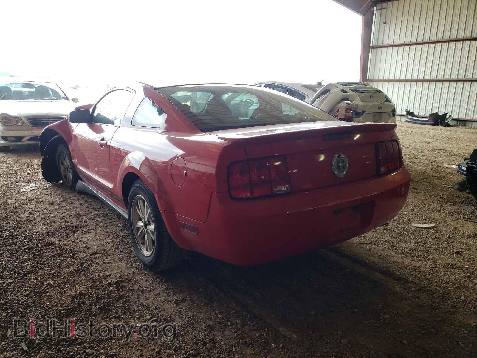 2009 FORD MUSTANG - VIN: 1ZVHT80N495113533 - Фото 3