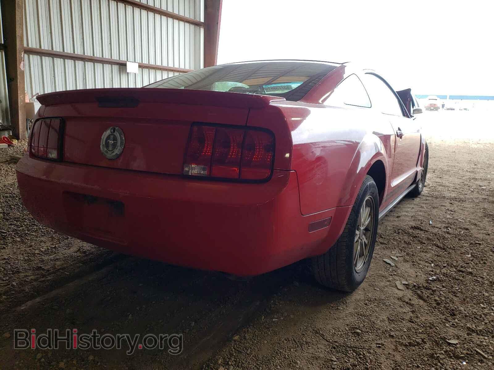 2009 FORD MUSTANG - VIN: 1ZVHT80N495113533 - Фото 4