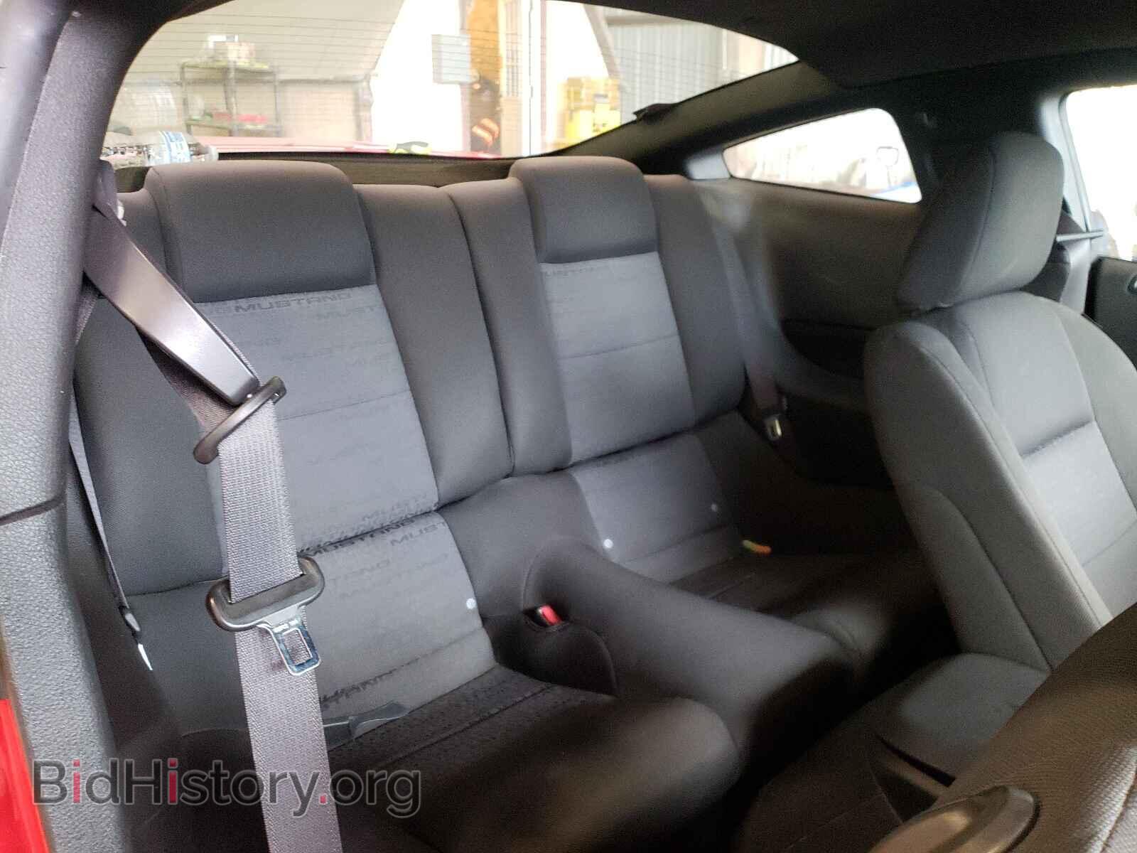 2009 FORD MUSTANG - VIN: 1ZVHT80N495113533 - Фото 6