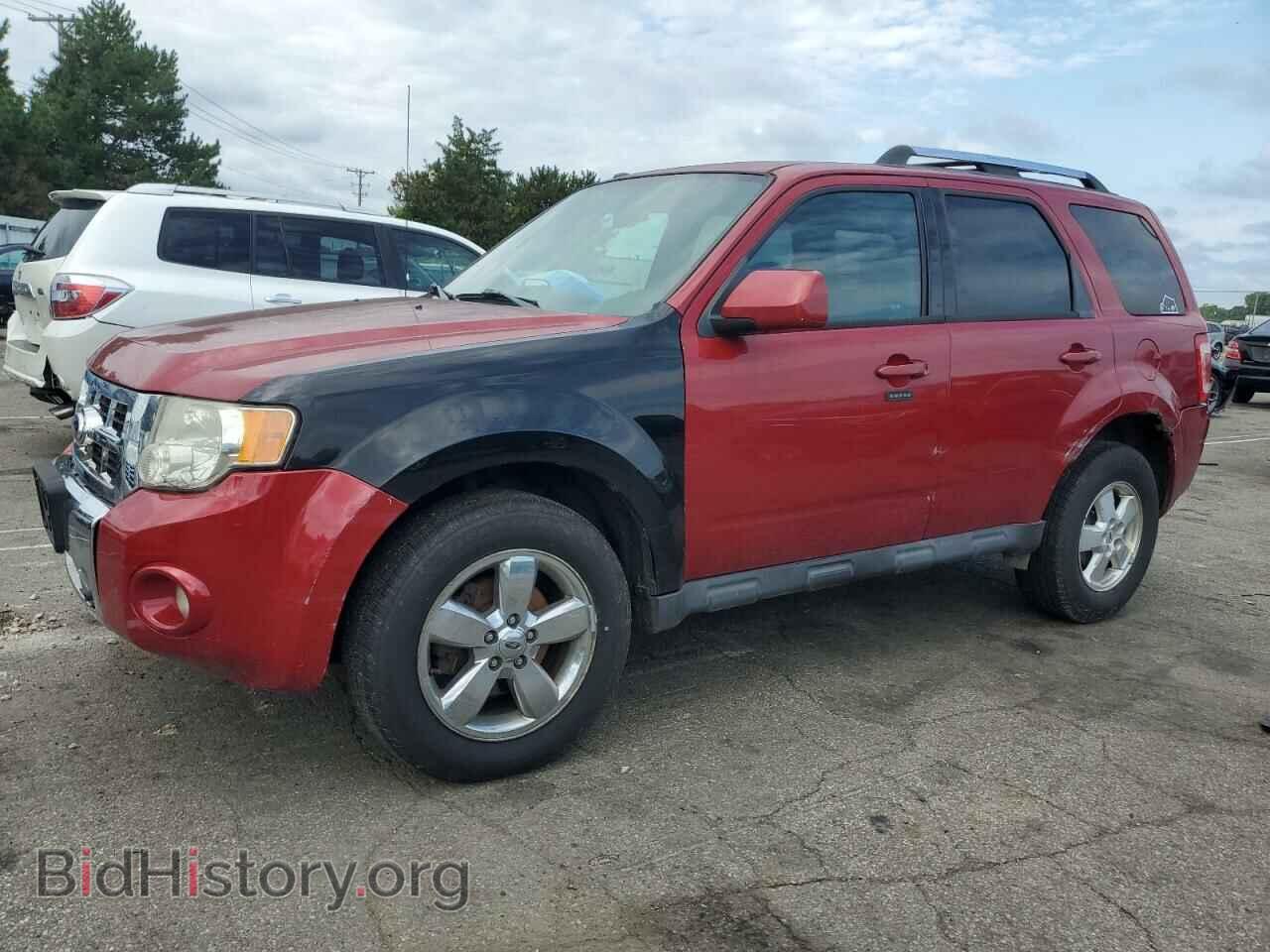 Photo 1FMCU0E76BKA20876 - FORD ESCAPE 2011