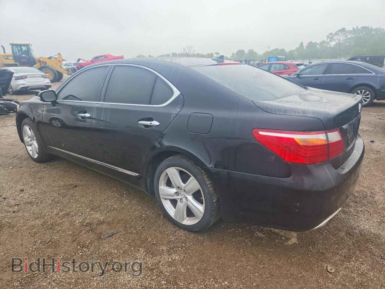 2011 LEXUS LS460 - VIN: JTHBL5EF9B5104436 - Photo 2