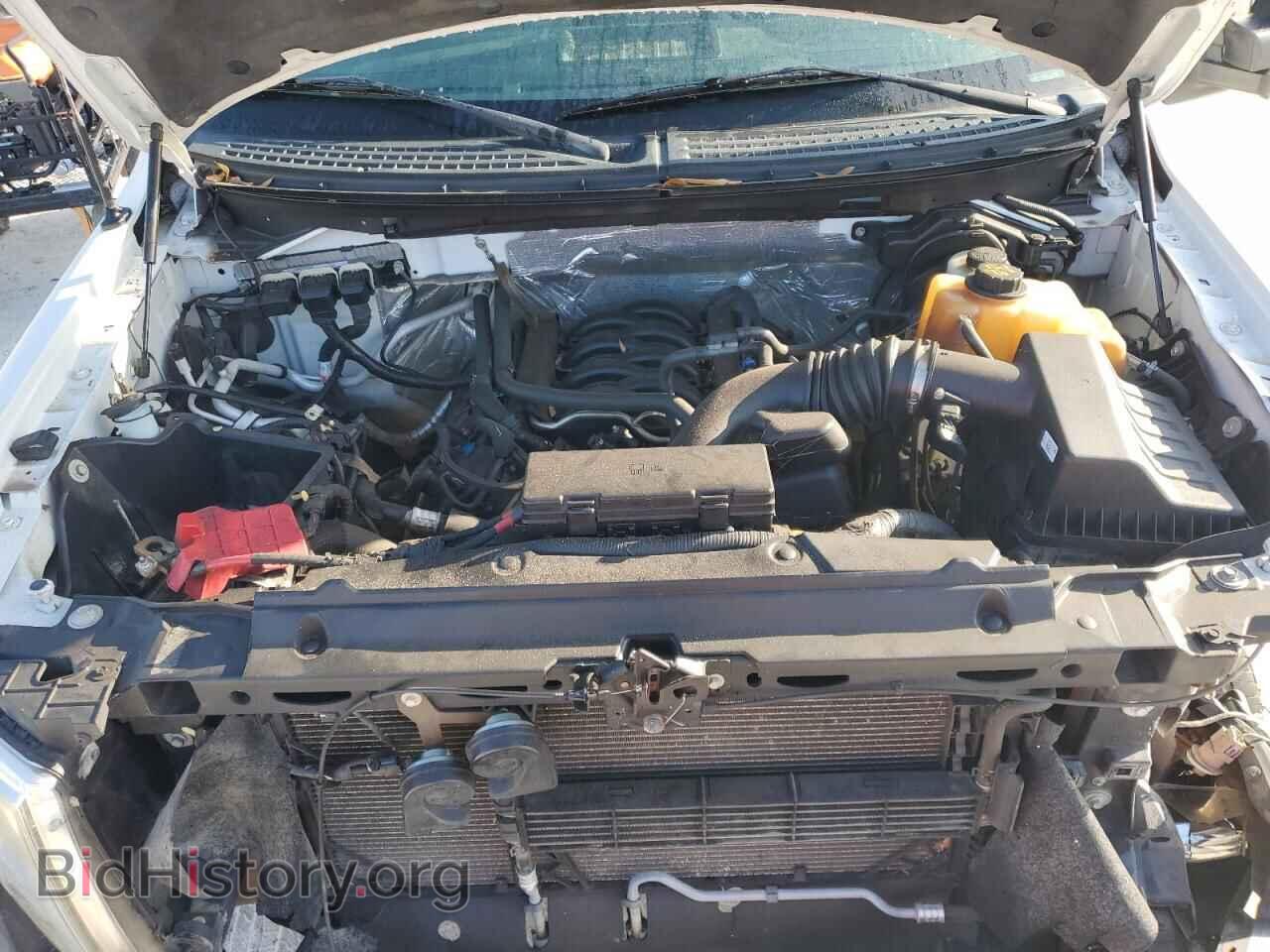 2013 FORD All Models - VIN: 1FTMF1EF5DKG03460 - Фото 11