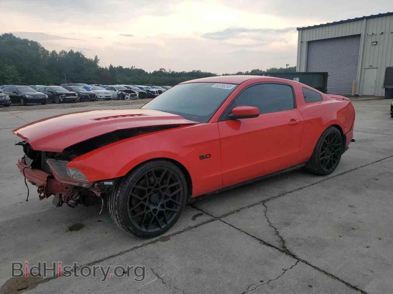 Фотография 1ZVBP8CF8E5206113 - FORD MUSTANG 2014