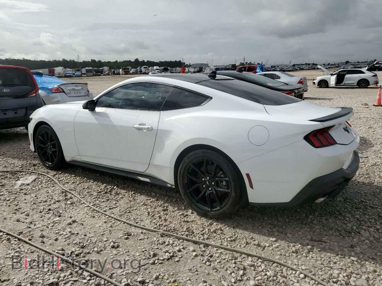 2024 FORD ALL Models - VIN: 1FA6P8TH8R5117160 - Photo 2