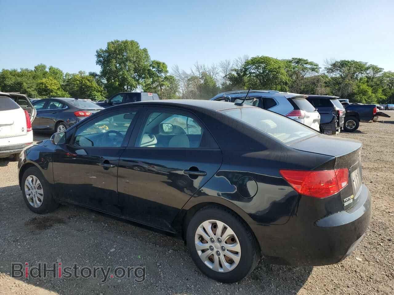 2012 KIA FORTE - VIN: KNAFU4A23C5595162 - Фото 2