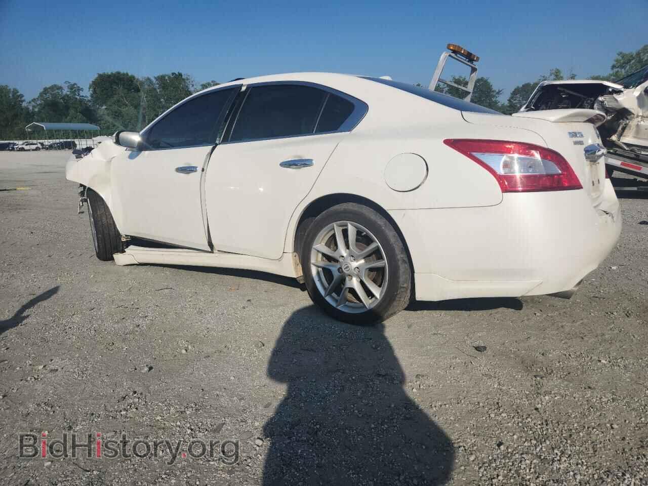 2010 NISSAN MAXIMA - VIN: 1N4AA5AP1AC873403 - Фото 2