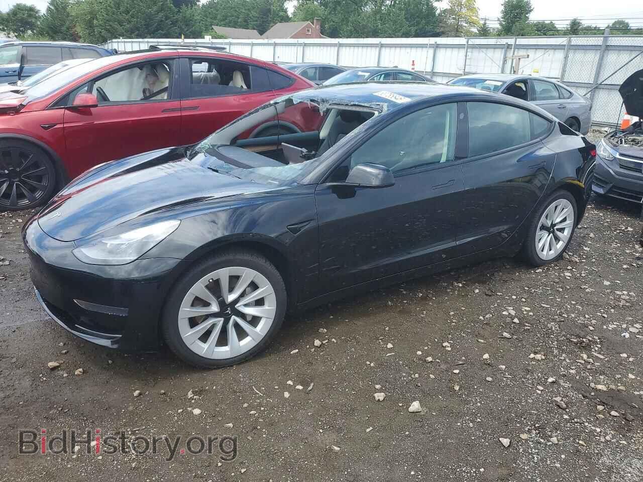 Фотография 5YJ3E1EA8PF591759 - TESLA MODEL 3 2023