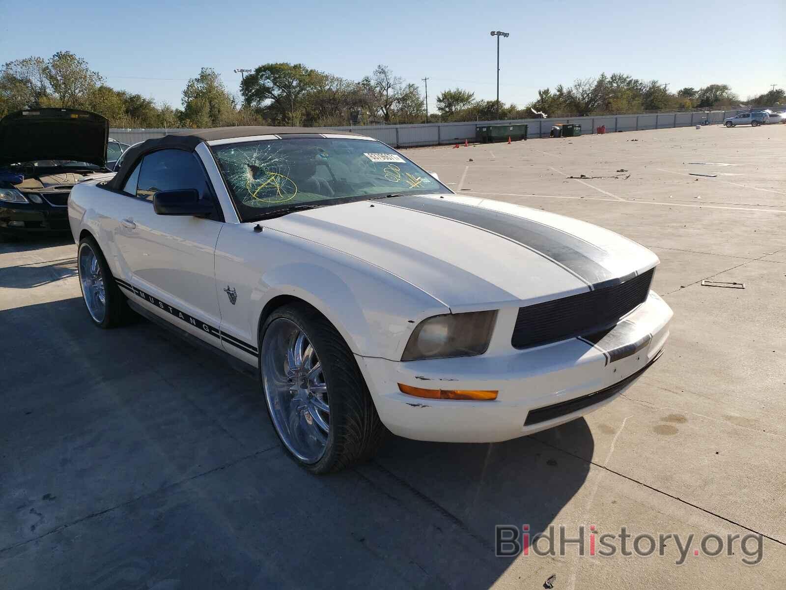 Photo 1ZVHT84N295108275 - FORD MUSTANG 2009