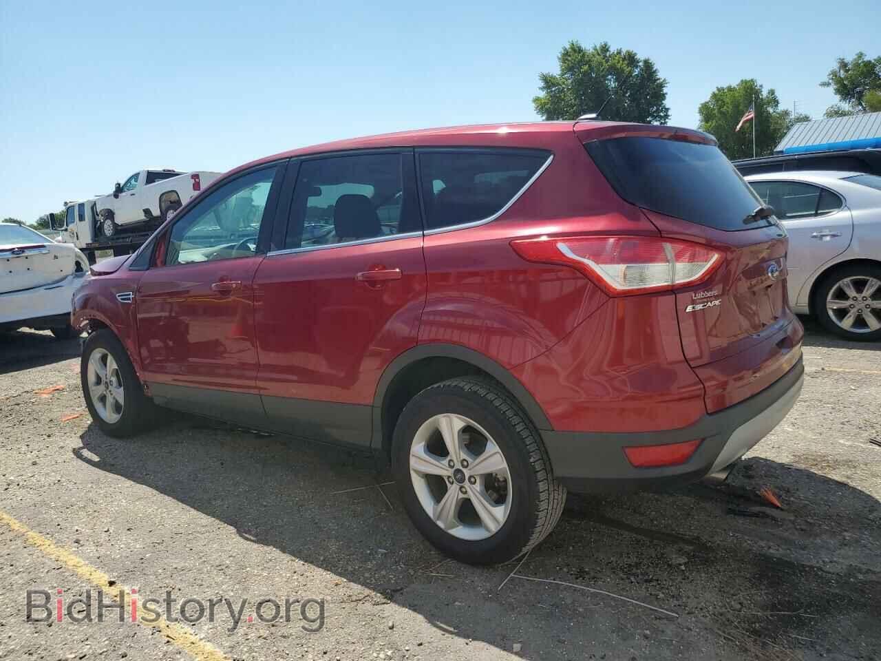 2014 FORD ESCAPE - VIN: 1FMCU0GX3EUB97505 - Фото 2
