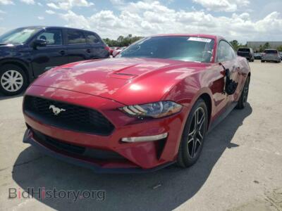 2019 Ford ALL MODELS Mustang, burgundy — VIN 1FA6P8TH9K5176398, Copart