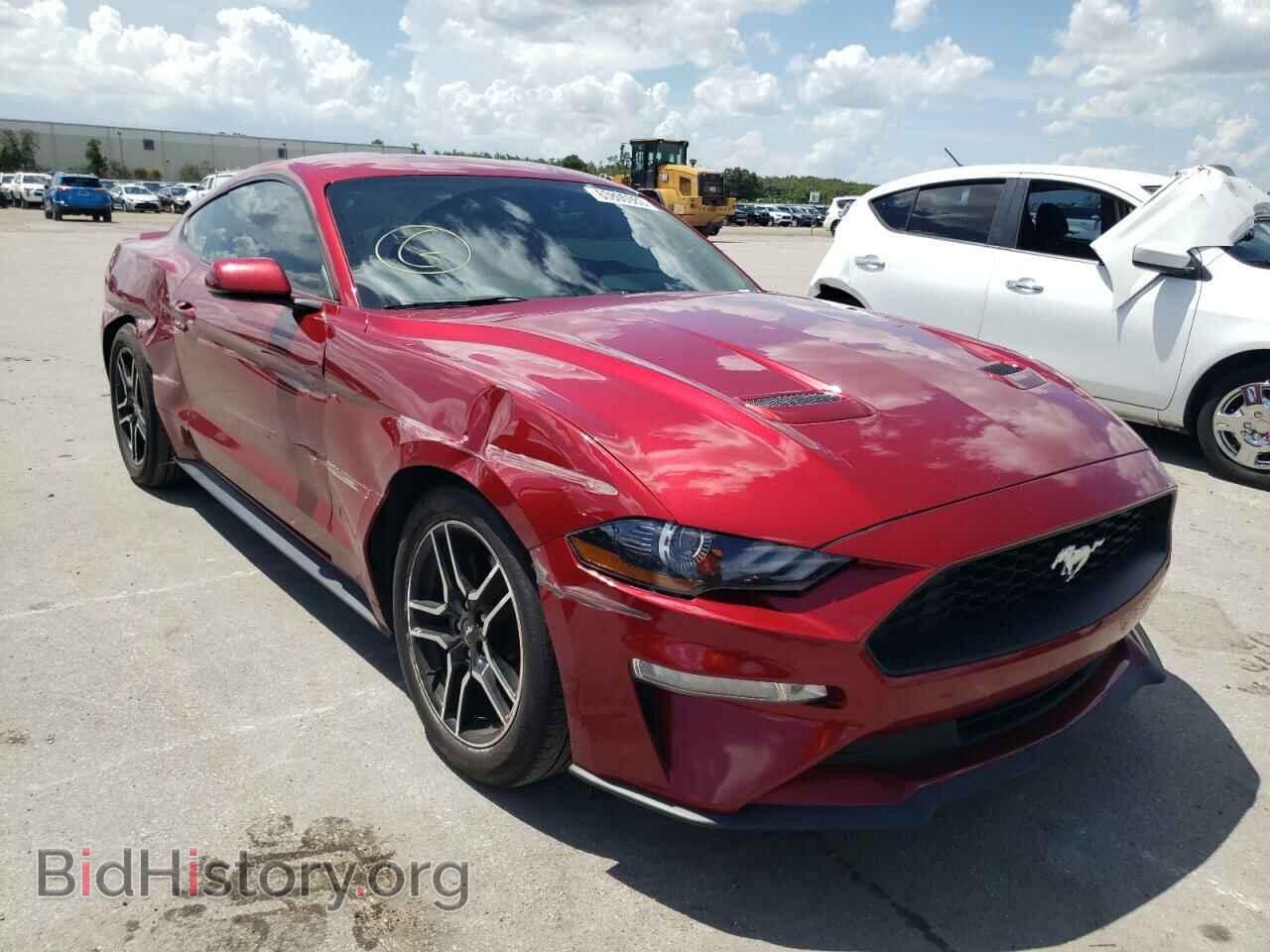 2019 FORD ALL Models - VIN: 1FA6P8TH9K5176398 - Фото 4