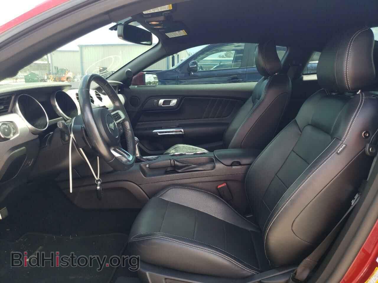 2019 FORD ALL Models - VIN: 1FA6P8TH9K5176398 - Фото 7