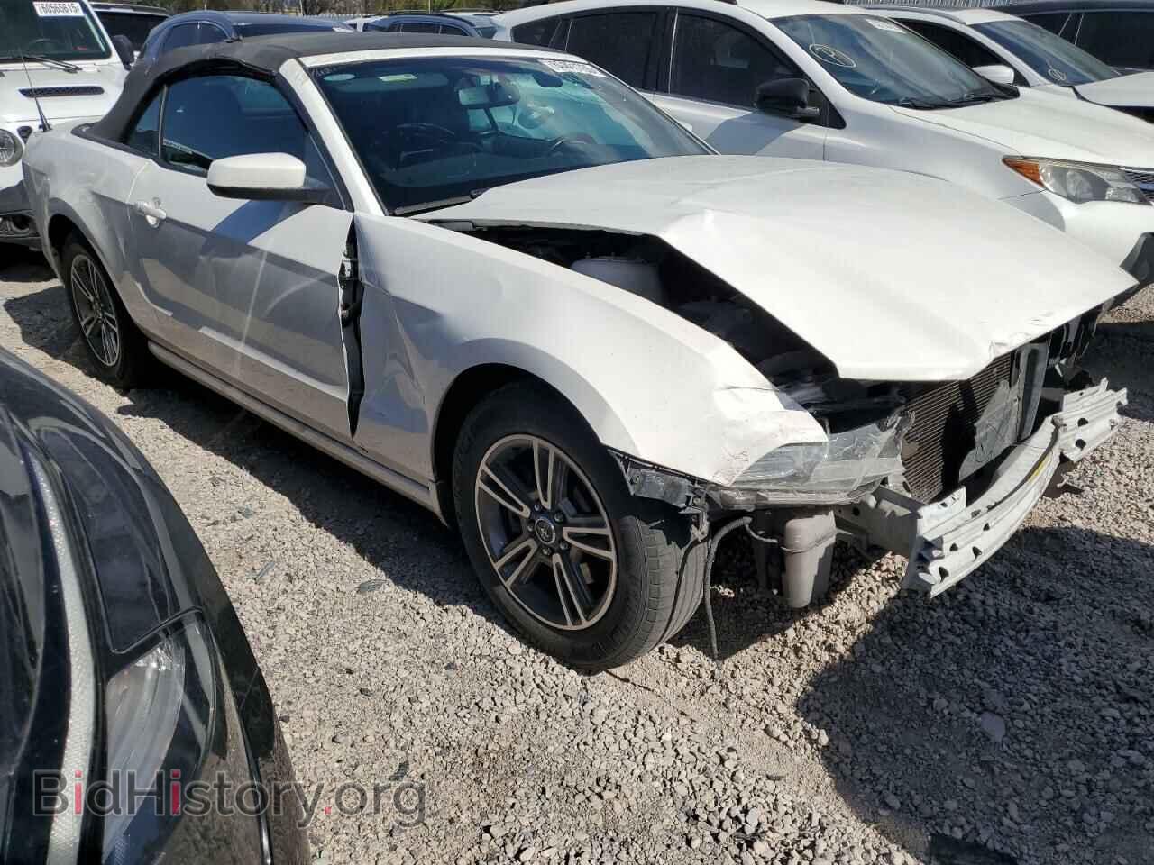 2013 FORD ALL Models - VIN: 1ZVBP8EM3D5229423 - Фото 4