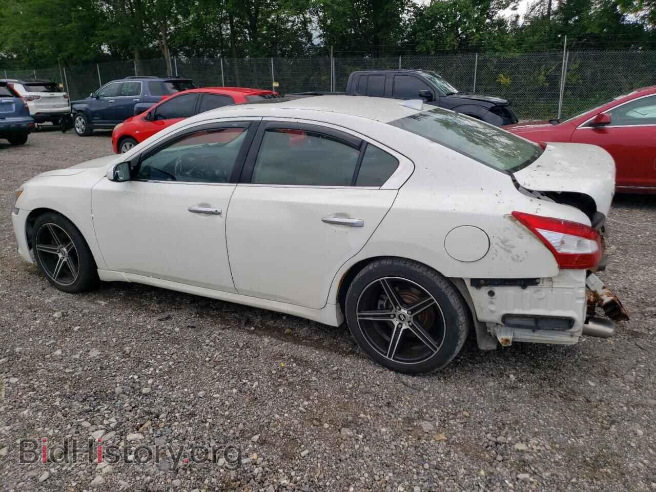 2011 NISSAN MAXIMA - VIN: 1N4AA5AP9BC802645 - Фото 2