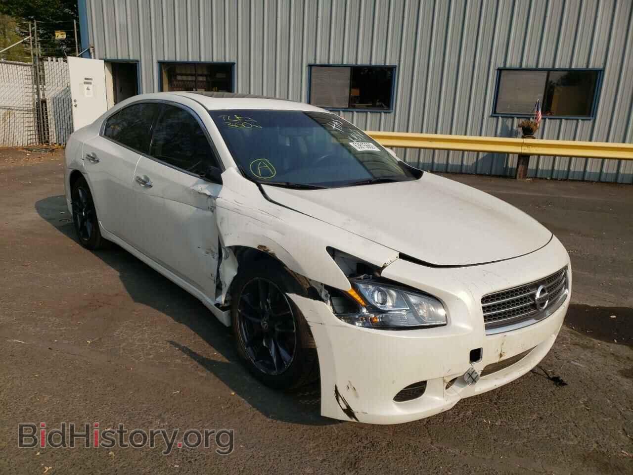Photo 1N4AA5AP6BC825459 - NISSAN MAXIMA 2011