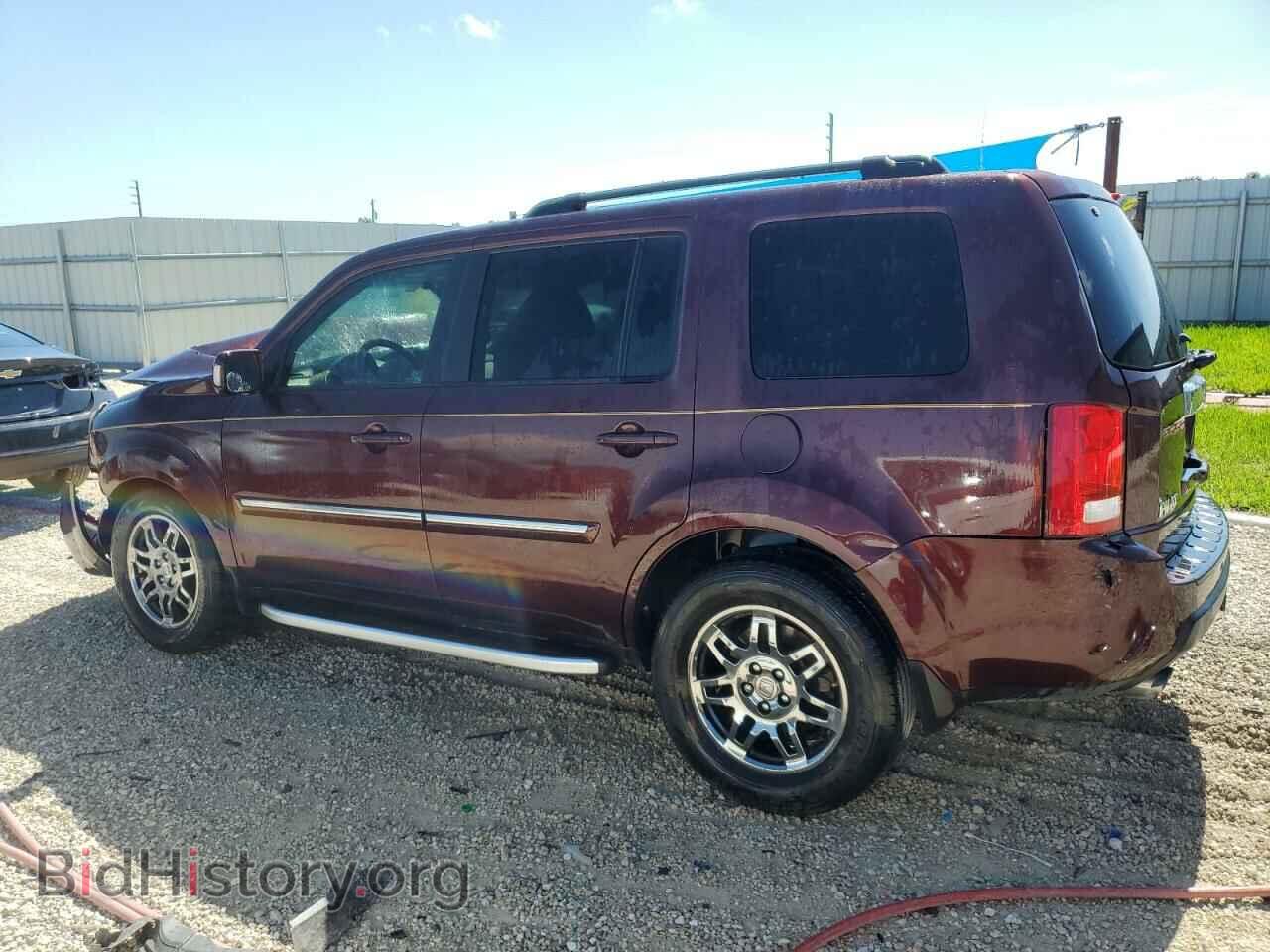 2009 HONDA PILOT - VIN: 5FNYF38939B006475 - Фото 2