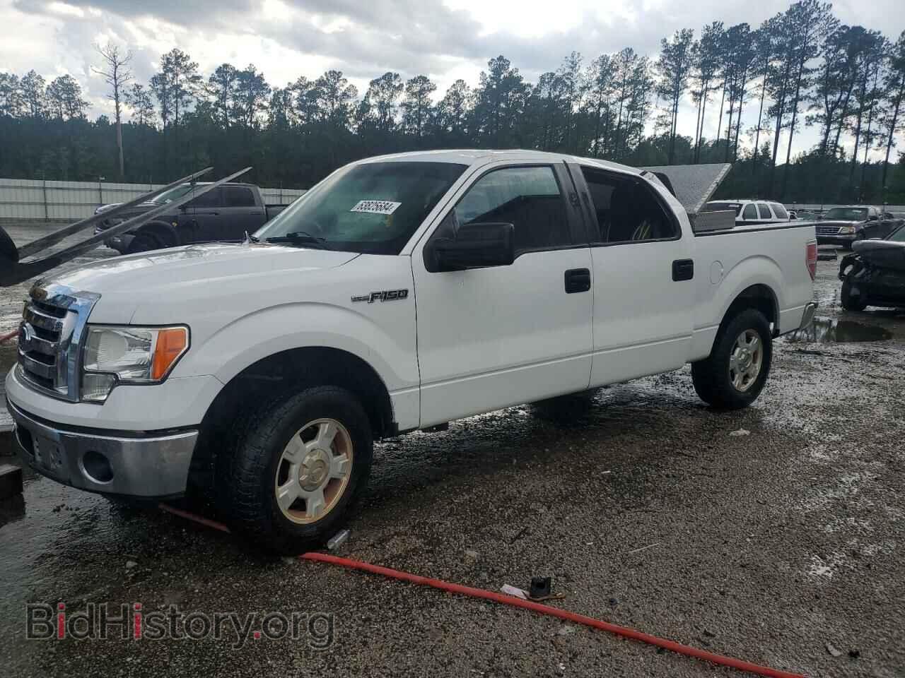 Фотография 1FTFW1CF8CFA20934 - FORD F-150 2012