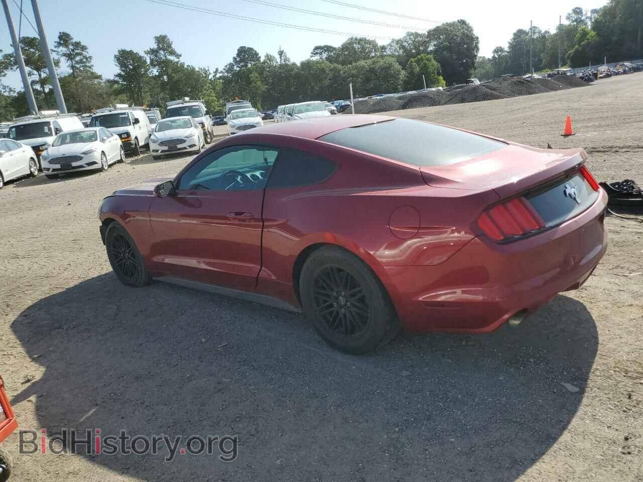 2017 FORD ALL Models - VIN: 1FA6P8AM5H5301244 - Фото 2