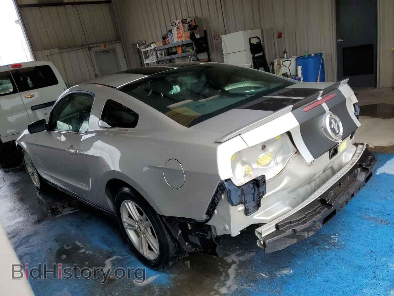 2010 FORD ALL Models - VIN: 1ZVBP8AN4A5115635 - Фото 2