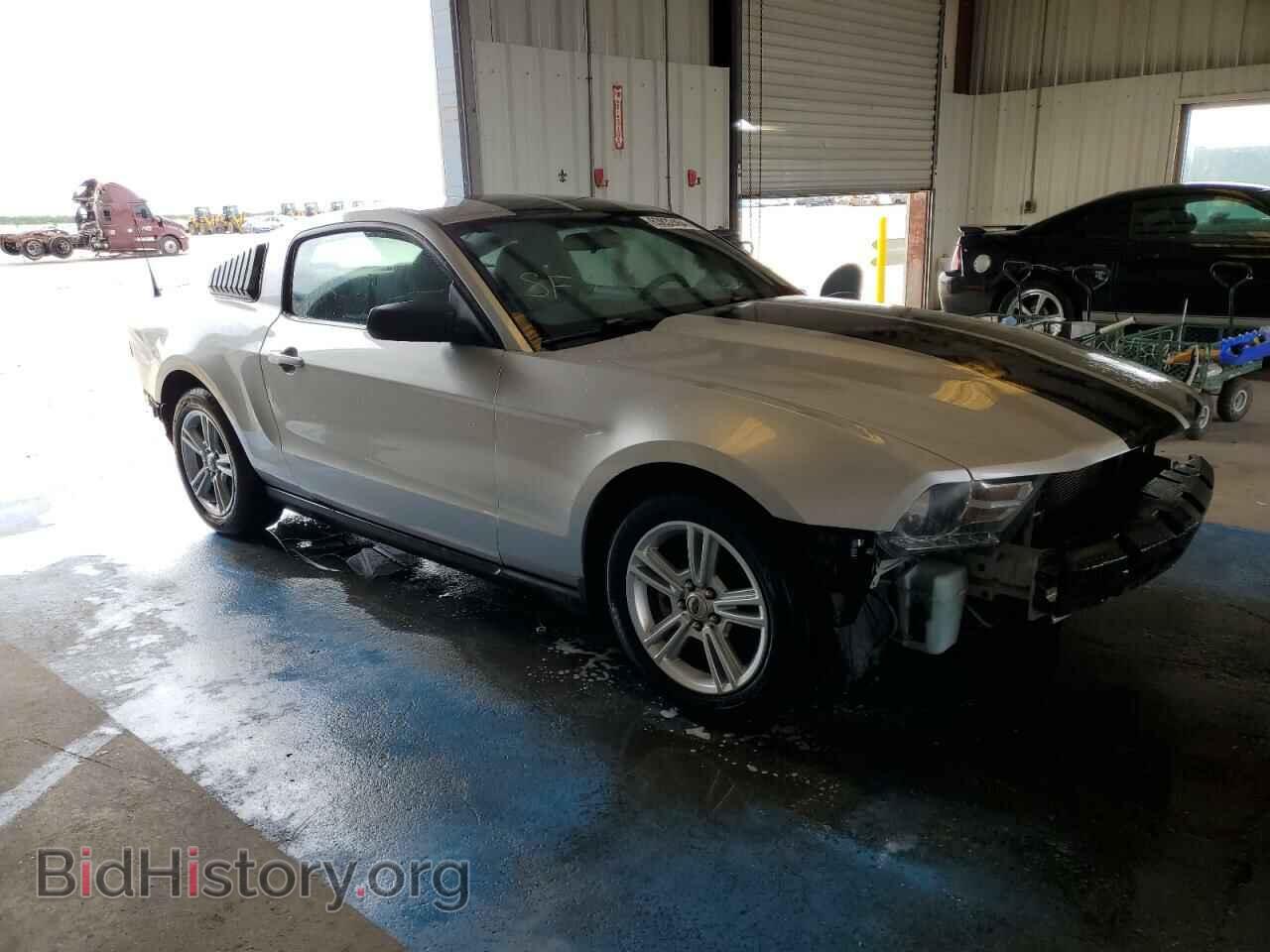 2010 FORD ALL Models - VIN: 1ZVBP8AN4A5115635 - Фото 4