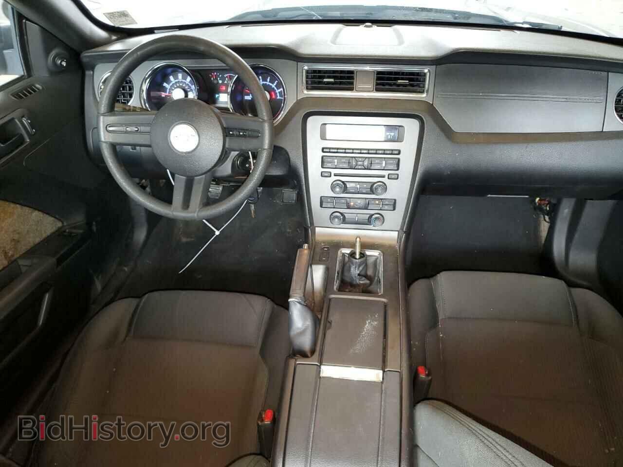 2010 FORD ALL Models - VIN: 1ZVBP8AN4A5115635 - Фото 8