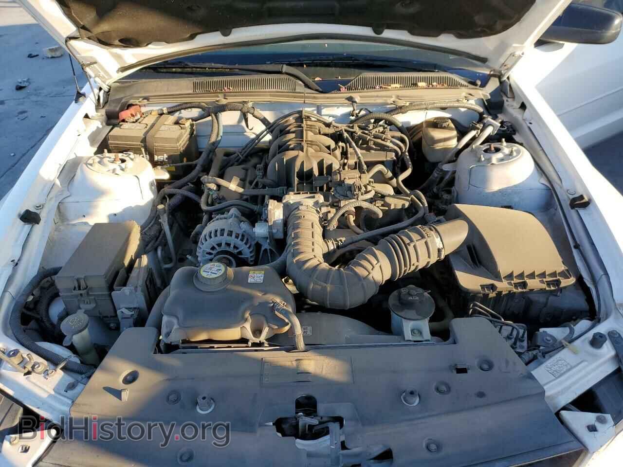 2008 FORD MUSTANG - VIN: 1ZVHT80N685137346 - Фото 7