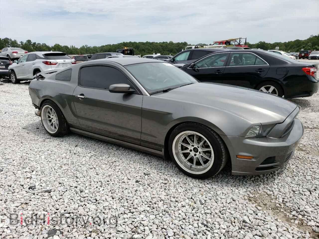 2013 FORD ALL Models - VIN: 1ZVBP8AM9D5245700 - Фото 4