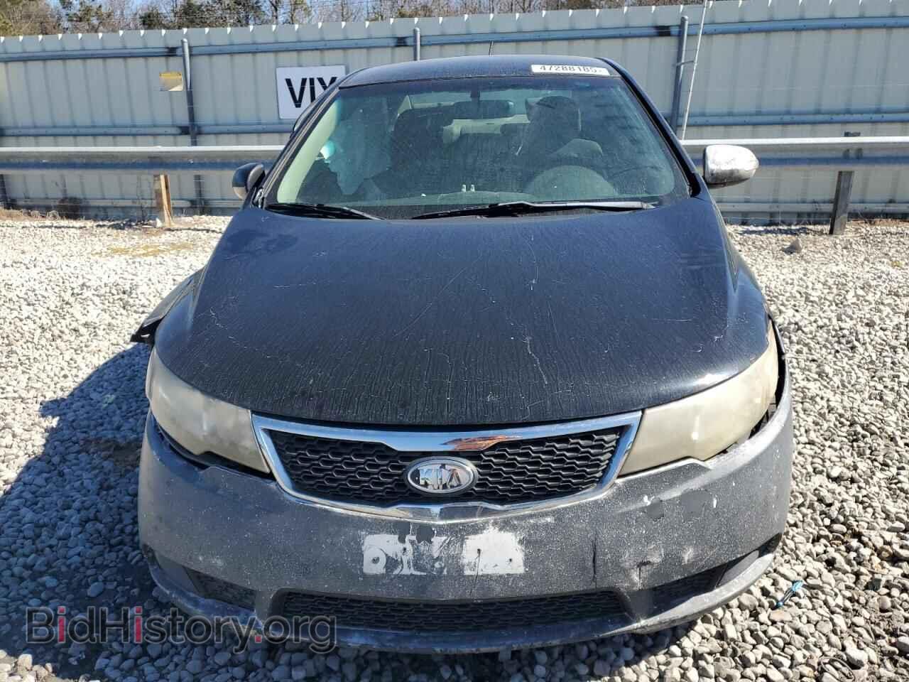 2013 KIA FORTE - VIN: KNAFT4A25D5721333 - Фото 5