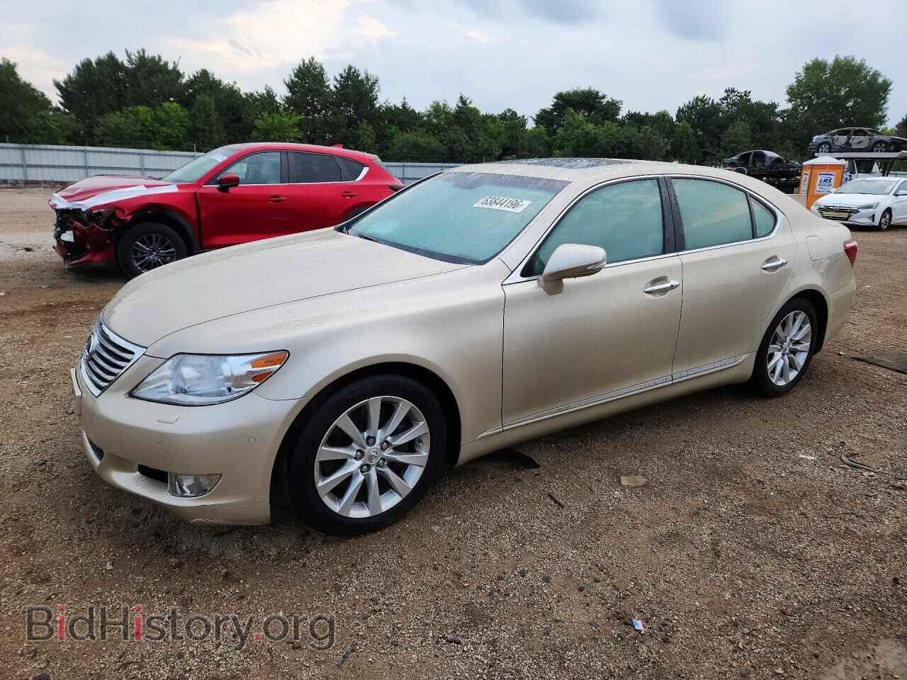 Фотография JTHCL5EF2C5014065 - LEXUS LS460 2012
