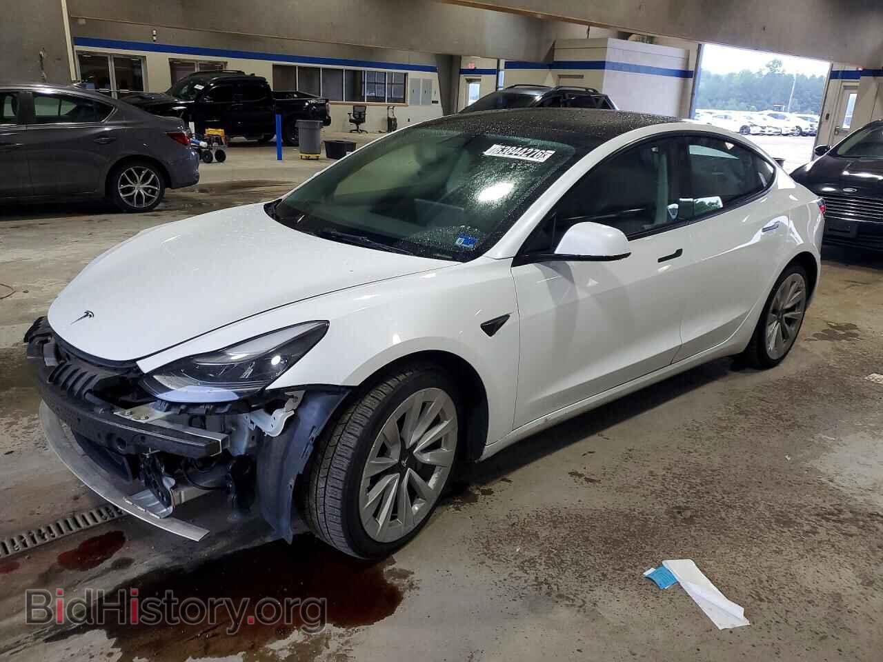 Photo 5YJ3E1EA2NF369568 - TESLA MODEL 3 2022