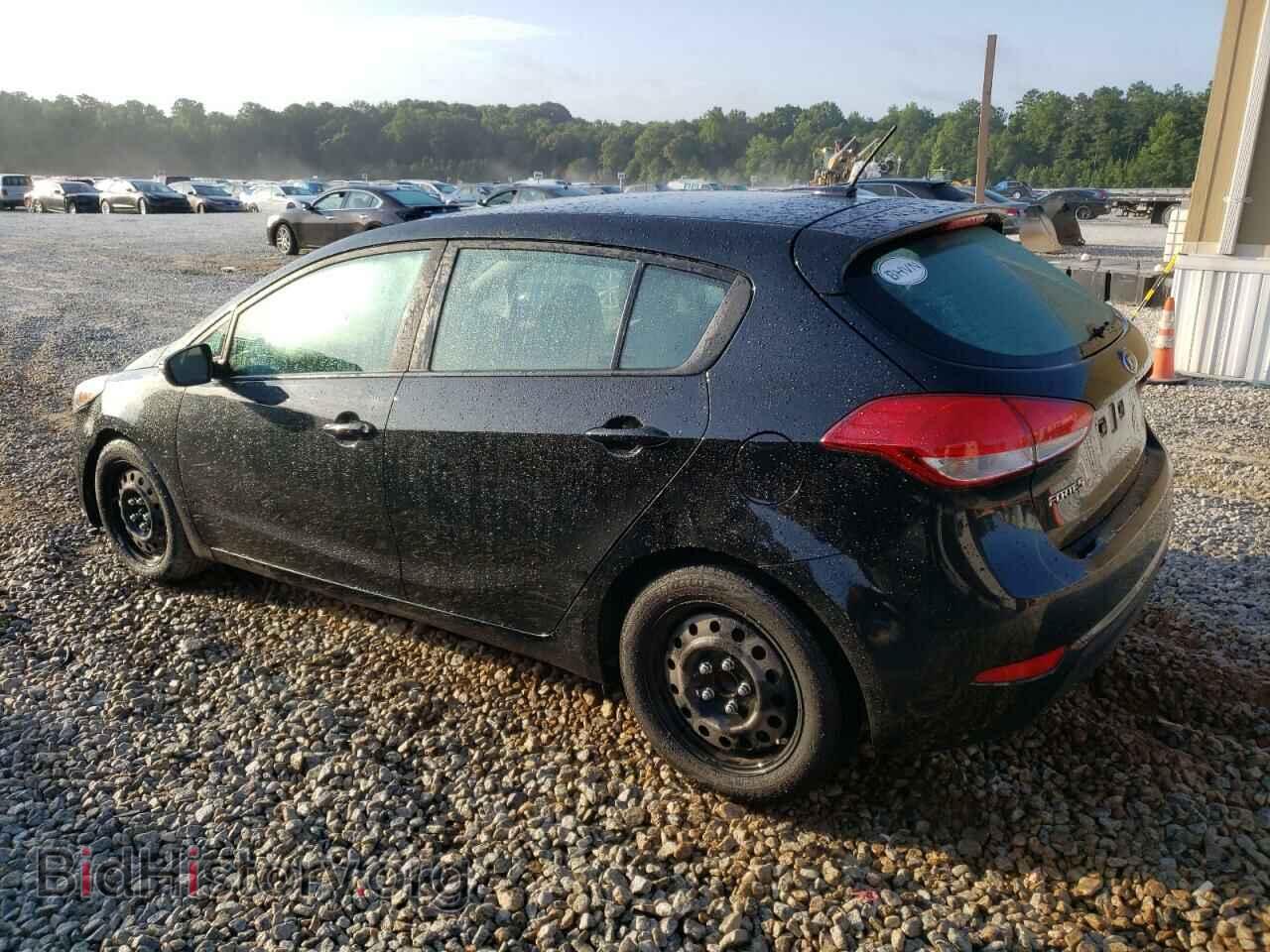 2016 KIA FORTE - VIN: KNAFK5A88G5573177 - Фото 2