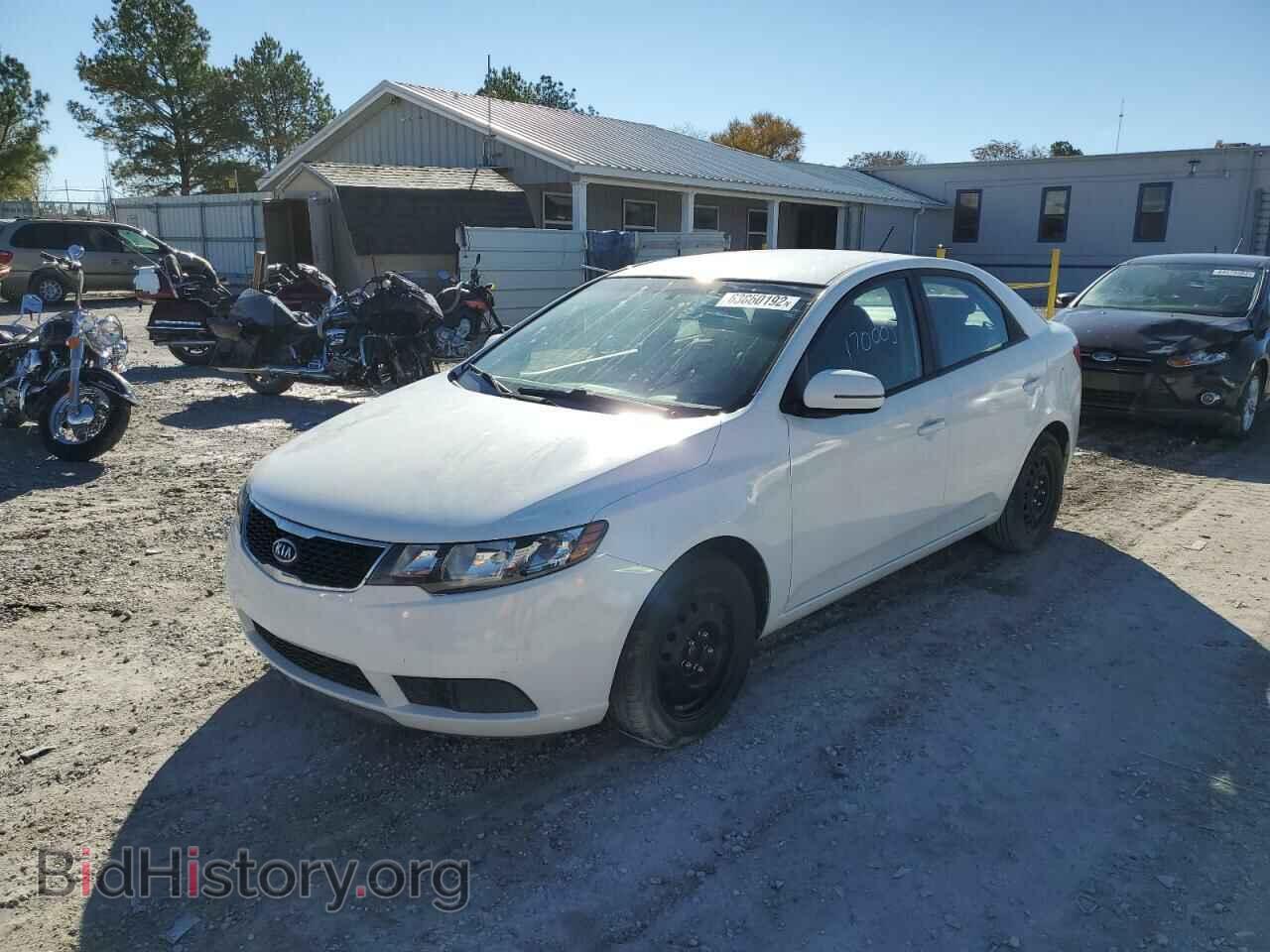2011 KIA FORTE - VIN: KNAFU4A29B5353975 - Фото 2
