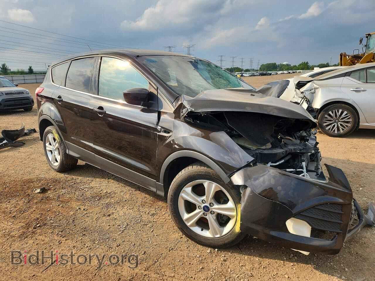 2013 FORD ESCAPE - VIN: 1FMCU9G97DUB92005 - Photo 4