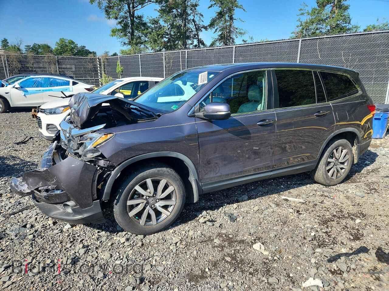 Photo 5FNYF6H55LB065694 - HONDA PILOT 2020